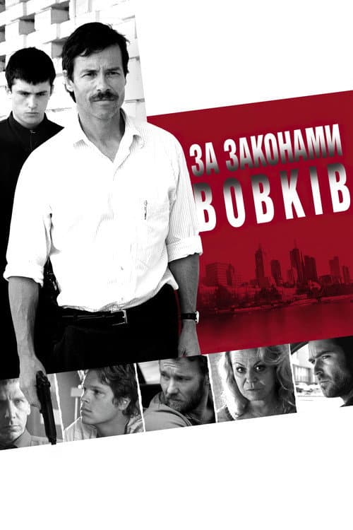 За вовчими законами